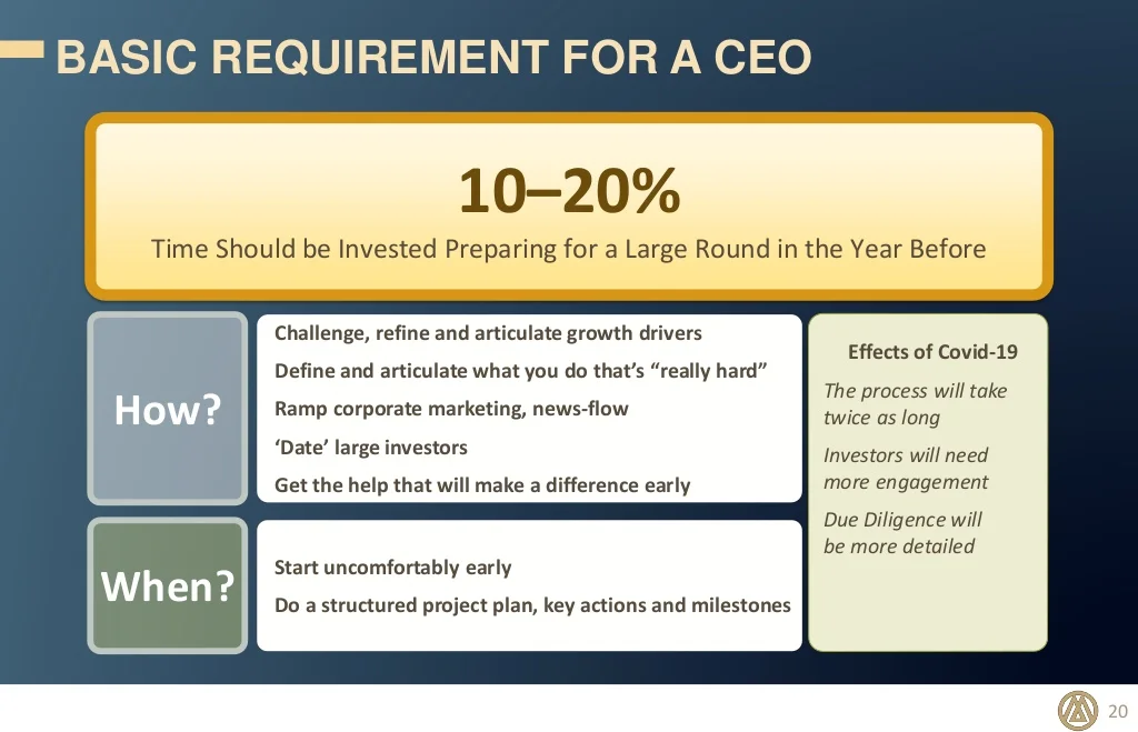 Requirements for a CEO