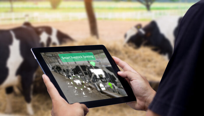 Livestock